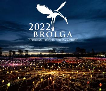 image of field of light with brolga logo