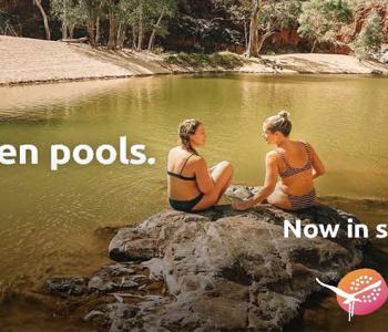Now in season campaign banner