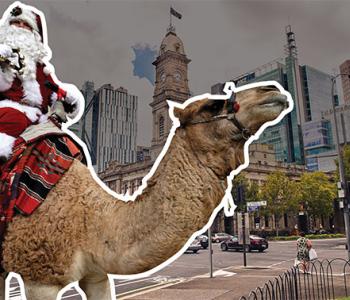 NT Xmas Pageant