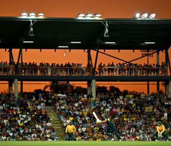 Cricket image