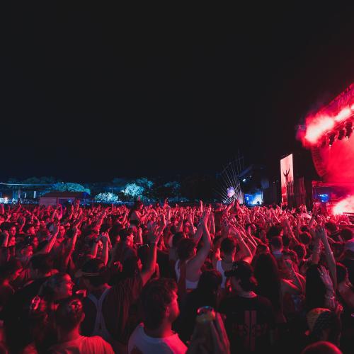 Bass in the grass