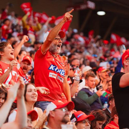 NRL FANS