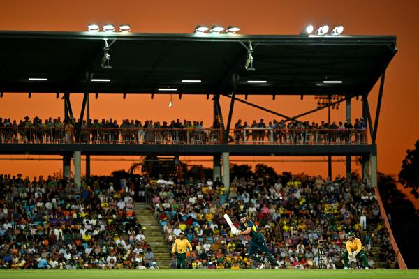 Cricket photo